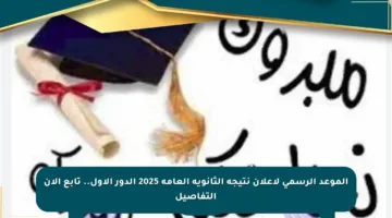 الموعد الرسمي لإعلان نتيجة الثانوية العامة 2025 الدور الأول.. تابع الآن التفاصيل